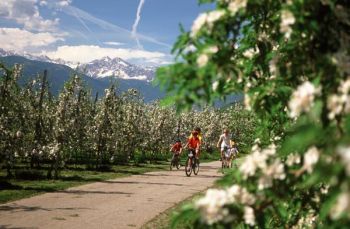 Mountain Bike holidays in our beautiful landscape